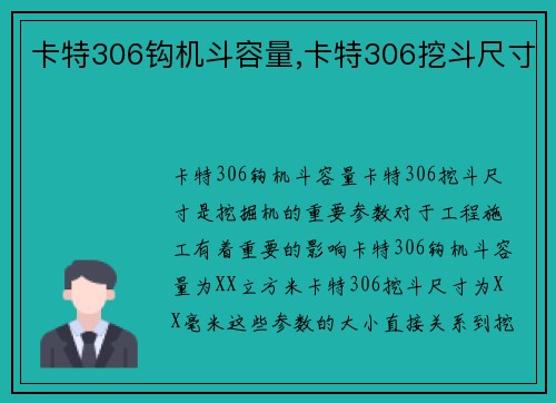 卡特306钩机斗容量,卡特306挖斗尺寸